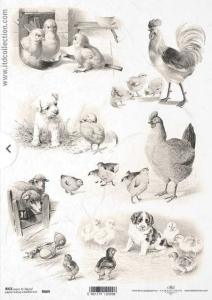 Papier ryżowy A4 R0669 kurczaczki sepia