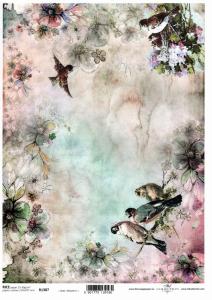 Papier ryżowy A4 R1387 akwarela ptaki