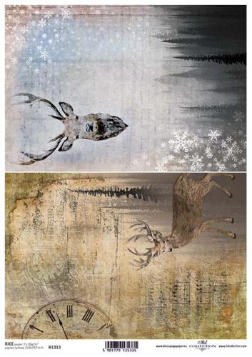 90cbca81576b733c53cc2fc5e29f9581