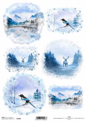 95cf66c412ce904a7aadb2a3d438f492