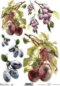 Papier ryżowy A4 R435 śliwki