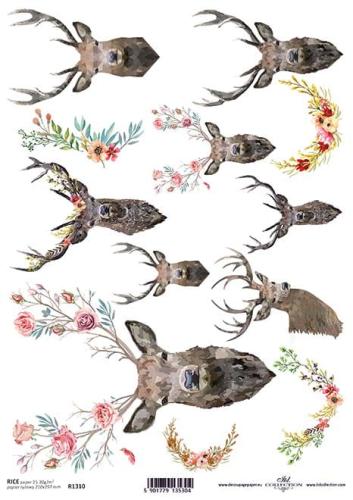 a6f0a3ad209ceeae6bd566e294bd9482