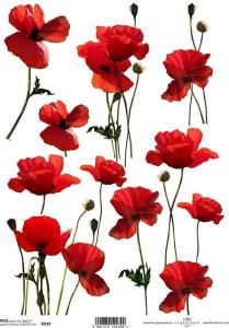 Papier ryżowy A4 R1953 Boy kratka 4